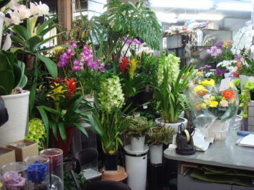 「ザ・グリーンハウス」　（鳥取県鳥取市）の花屋店舗写真4