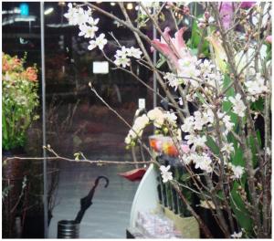 鳥取は雪です。｜「ザ・グリーンハウス」　（鳥取県鳥取市の花キューピット加盟店 花屋）のブログ